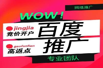 SEM推广公司案例：打造高效营销体系